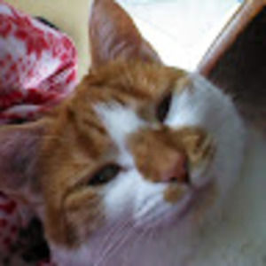 Meet your Posher, Sandy